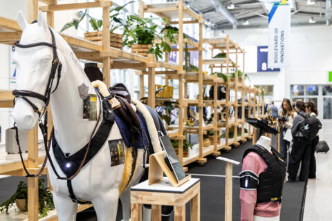 horse_25_021_023