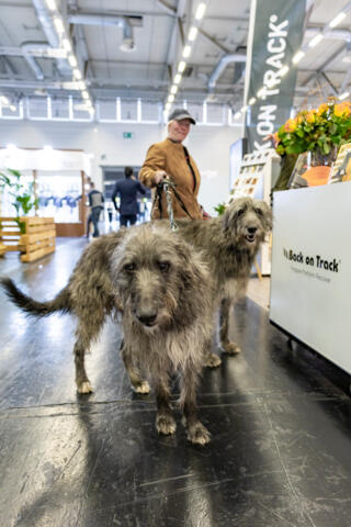 06_spoga_dog_Copyright_Koelnmesse_Marvin_Ruppert
