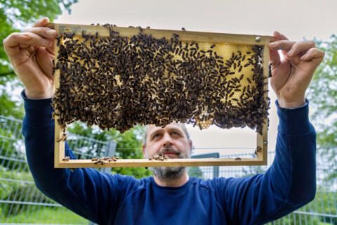 05_Arbeitgeber_Koelnmesse_Copyright_Koelnmesse_Hanne_Engwald