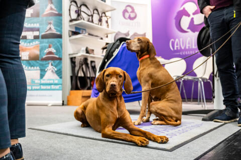 01_spoga_dog_Copyright_Koelnmesse_Oliver_Wachenfeld