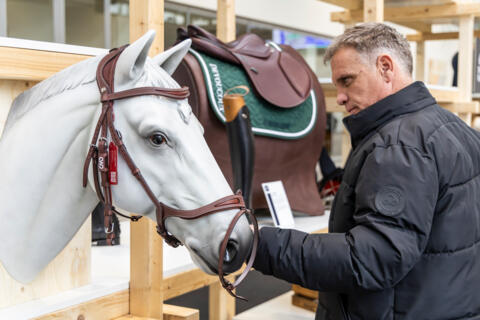 horse_25_021_028