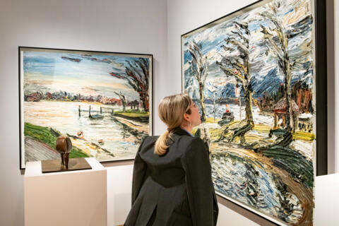 art_25_047_018
