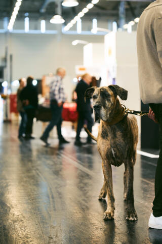 02_spoga_dog_Copyright_Koelnmesse_Marvin_Ruppert