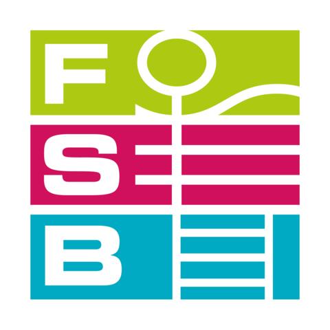 x_FSB_Logo_4c