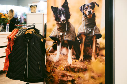 03_spoga_dog_Copyright_Koelnmesse_Marvin_Ruppert